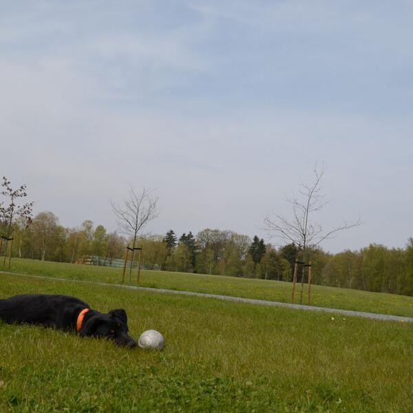 Ferienhof Lütjen-Wellner