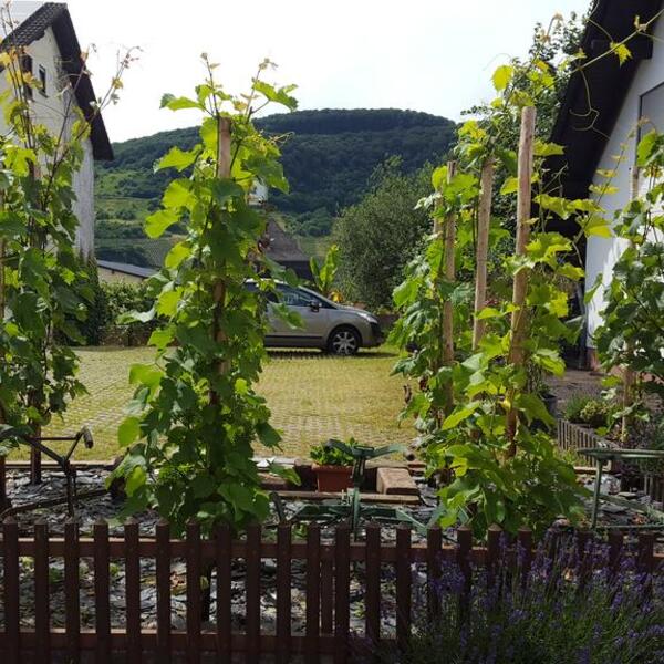 2 Sterne Pension Wendland