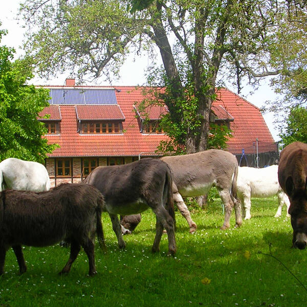 Pension "Zur Scheune"