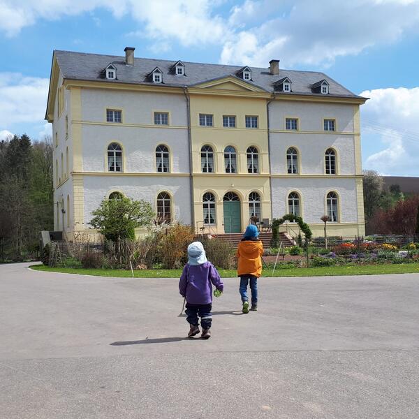 Ferienwohnungen Mertz