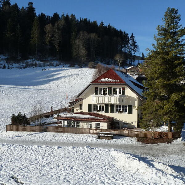Ferienwohnung Rosengarten im Ferienhaus Carola