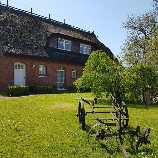 Hotel & Restaurant "Alt Wittower Krug"