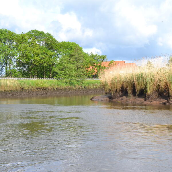 Ferienwohnungen Kropp am See