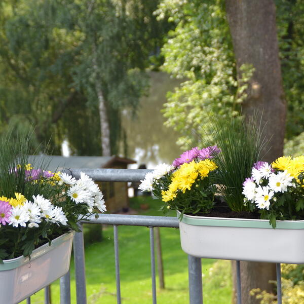 Ferienwohnungen Kropp am See