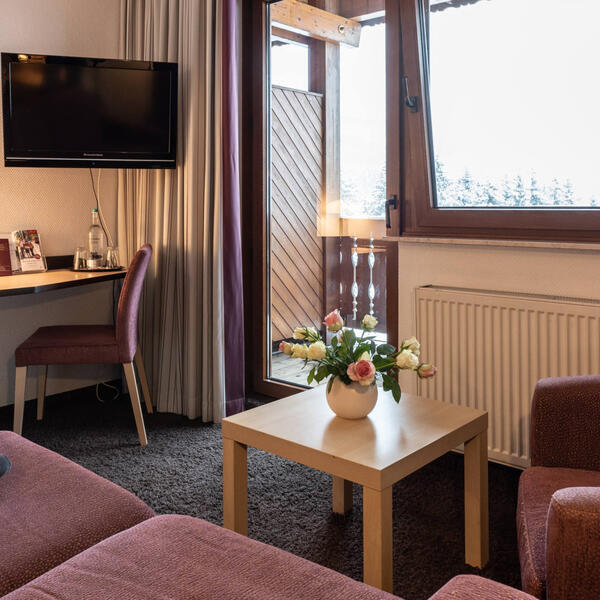 3 Sterne Waldhotel Willingen