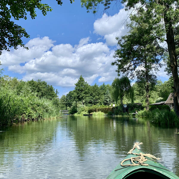 Umgebung im Spreewald 