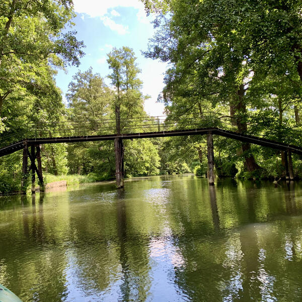 Umgebung im Spreewald 