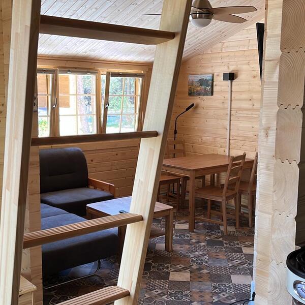 Ferienhaus Seevögel