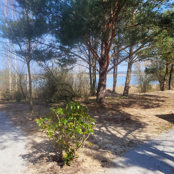 Ferienhaus Seevögel