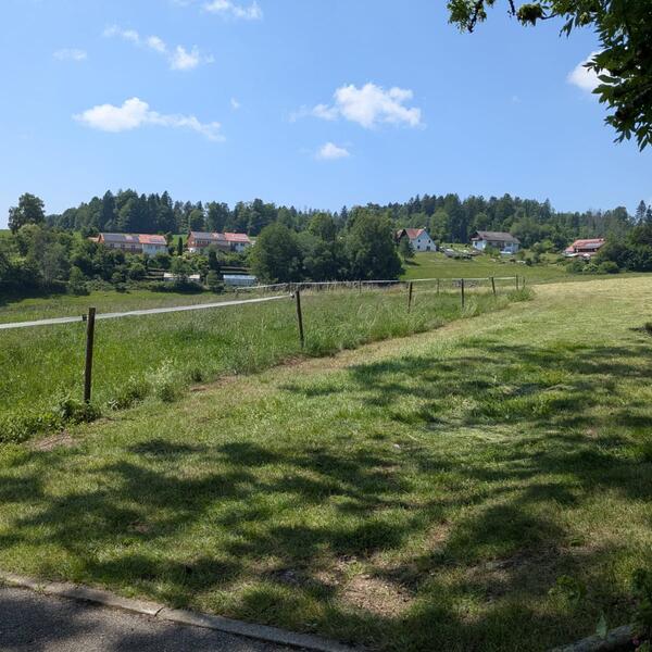 Haus Ingeborg - Südschwarzwald  Zurück zur Natur