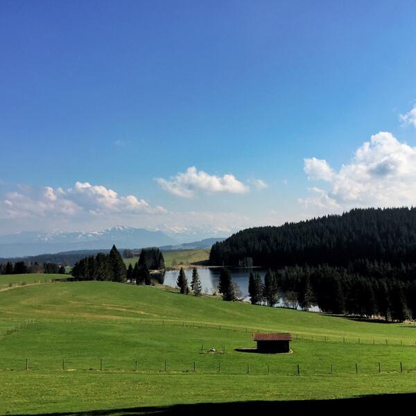 5 Sterne Ferienwohnungen in Buchenberg 
