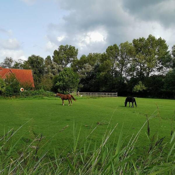Ferienhof Klützke