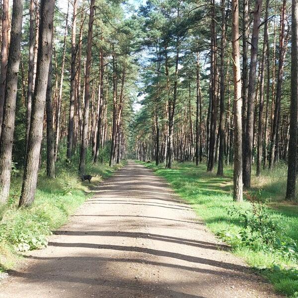 Ferienhof Riensheide