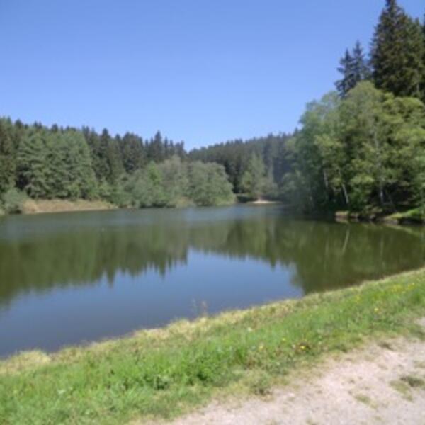 Stausee Schönheide 