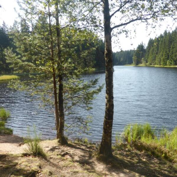 Vogtlandsee 3 km entfernt