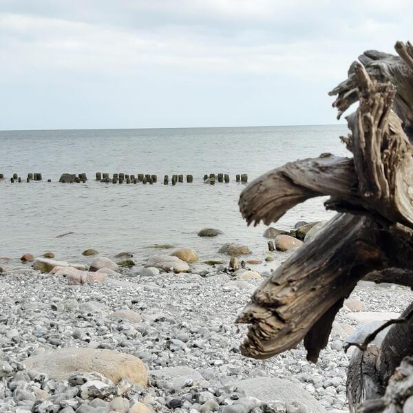 3-Zi-Whg. “Romantik” mit Balkon und Meerblick