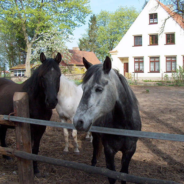 NAT(o)UR-OASE Birkenhof