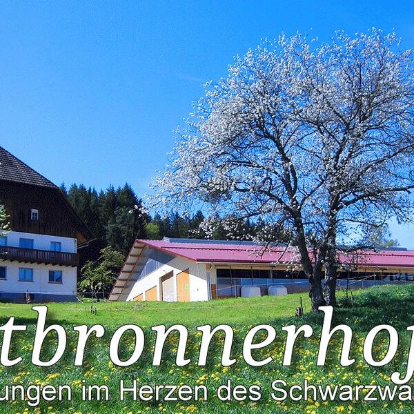 Mostbronnerhof 