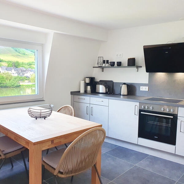 Moselblick von der Küche und vom Wohnraum aus