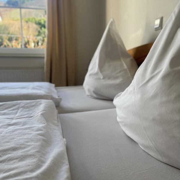 Ferienwohnung Weingut Sauer – Kettermann 