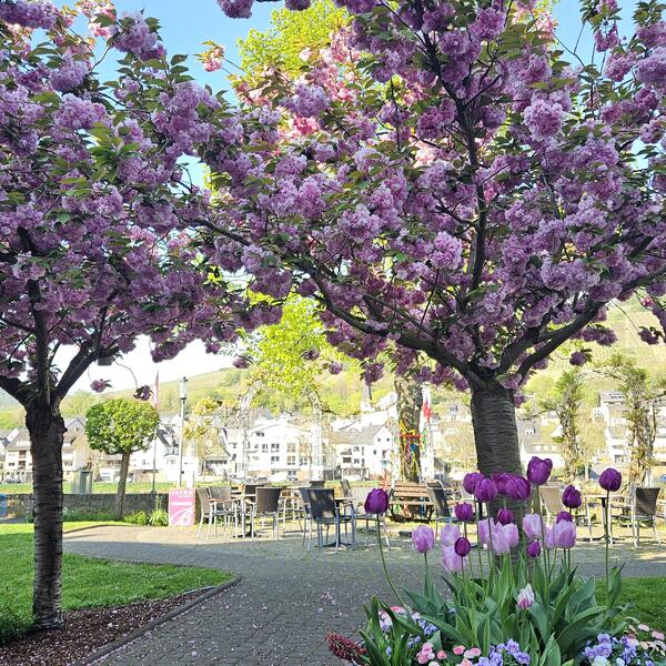 Schöner Platz in der Altstadt zum Genießen