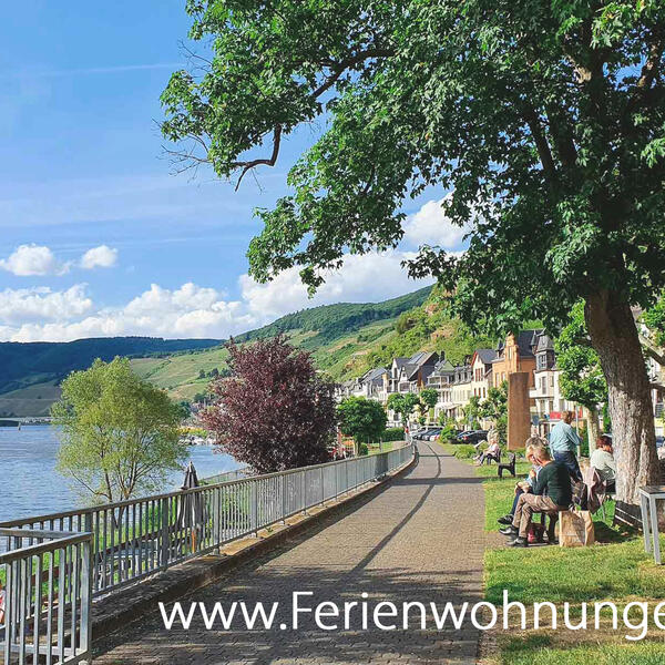 Die Weinlounge des Weinguts ist nur wenige Meter entfernt