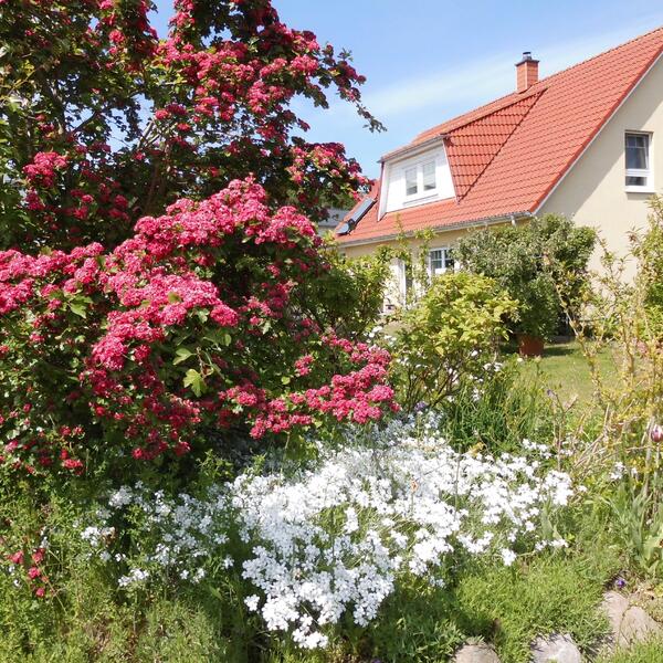 Haus Eintracht Ferienwohnungen in Sellin auf Rügen
