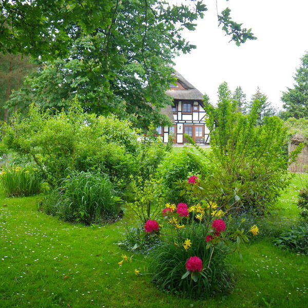 Töpperhus auf der Halbinsel Fischland-Darss 