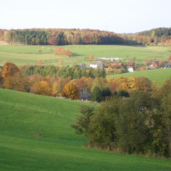 Waldhäuschen Morsbach 