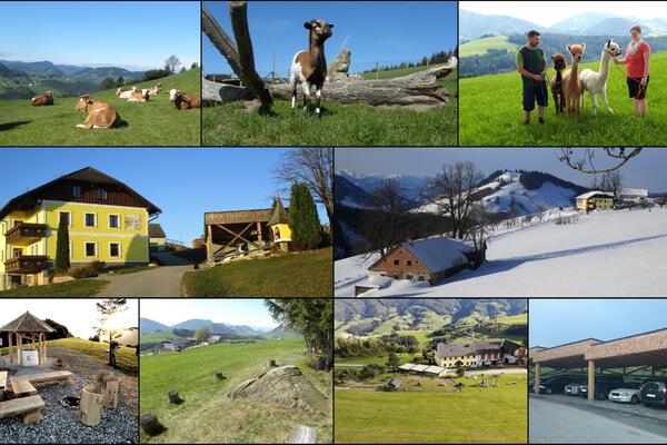 Urlaub am Bio-Bauernhof - Mitterhirschberg