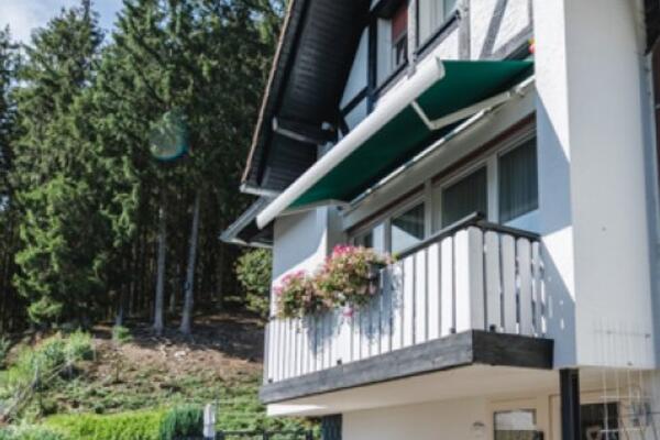 Pension Haus am Wald in Potsdam