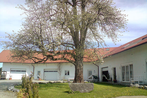 Ferien & Obsthof Sonnenhalde