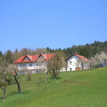 5 Sterne Zur Schönen Aussicht