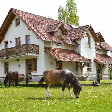 Reiterparadies Talhof