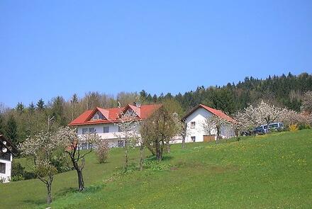 5 Sterne Zur Schönen Aussicht