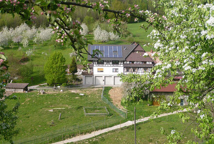 5 Sterne Jägerhof Benz