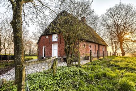 Reetdachhaus-Nordfriesland
