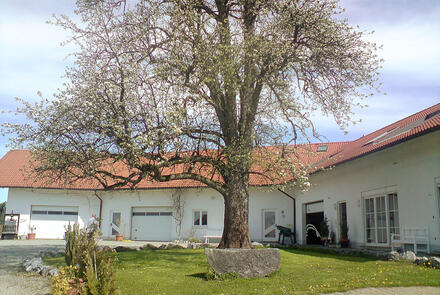 Ferien & Obsthof Sonnenhalde