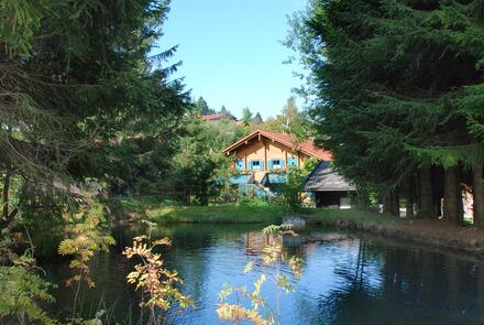 Ferienhaus Mitterdorf