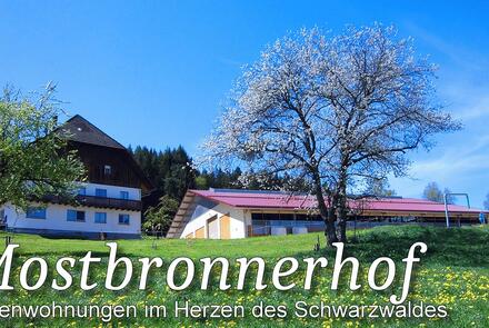 Mostbronnerhof 