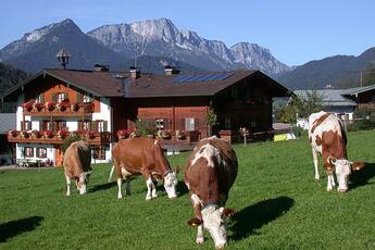 Gästehaus Aschbachhof