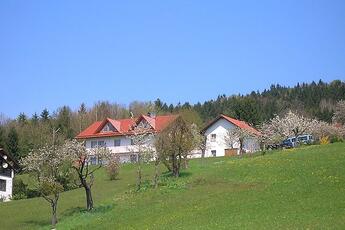 5 Sterne Zur Schönen Aussicht