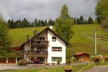 Ferienwohnung Am Sulzbächle