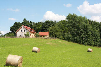 Waldhaus am Lilienstein